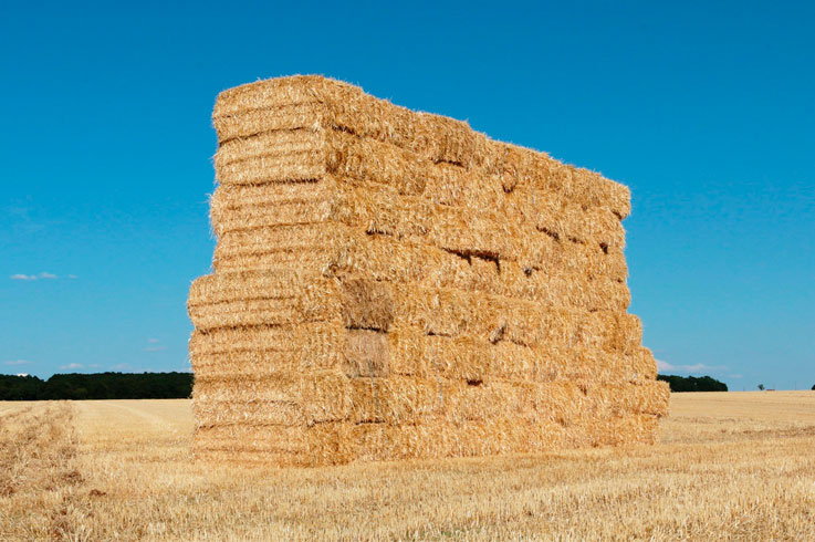 plástico-para-silo-pacas-heno